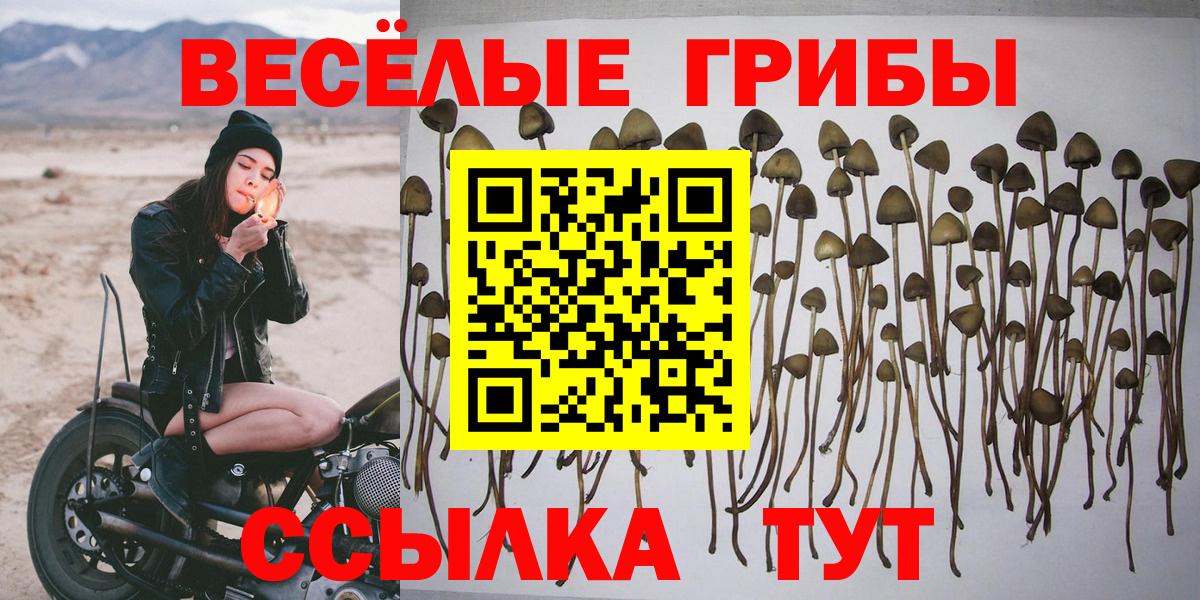 Галлюциногенные грибы мицелий  Вход с VPN  Орёл 