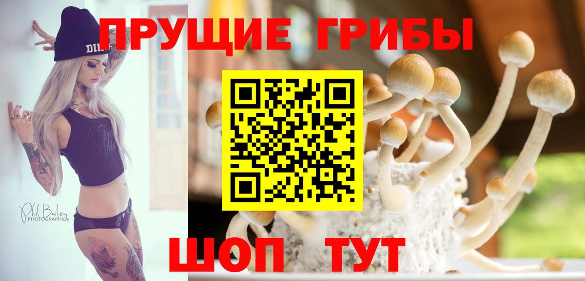 Псилоцибиновые грибы мицелий Орёл